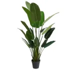 Kunstplant Strelitzia groen 180cm