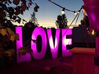 Love Letters