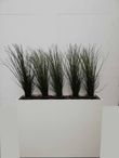 Plantenbak/ Afscheiding