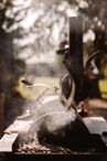 3 Kleps BBQ smoker op aanhanger